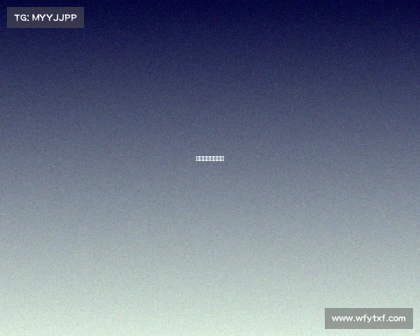 赛事人员分工安排